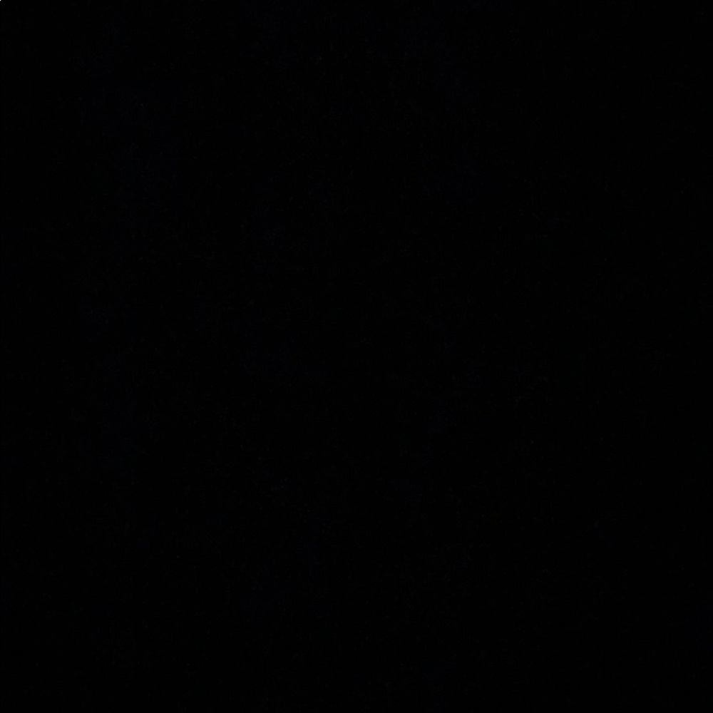 Meet your Posher, Annie